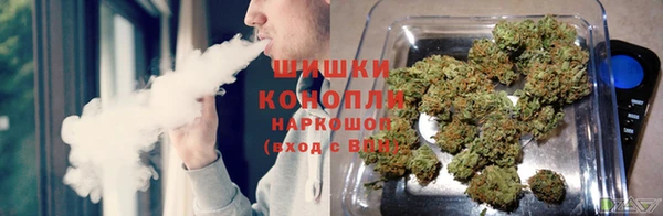 ПСИЛОЦИБИНОВЫЕ ГРИБЫ Белоозёрский
