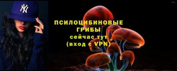 сатива Беломорск