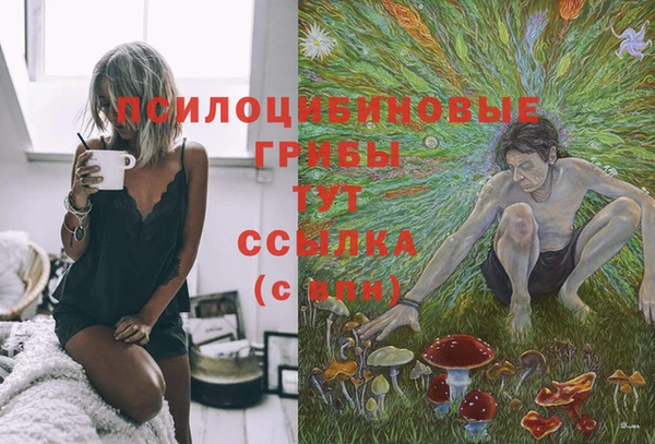 ПСИЛОЦИБИНОВЫЕ ГРИБЫ Белоозёрский