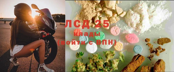 ПСИЛОЦИБИНОВЫЕ ГРИБЫ Белоозёрский