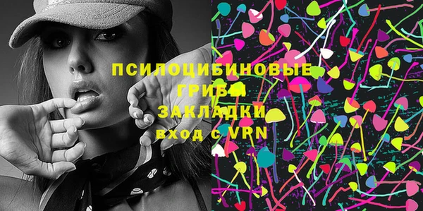 сатива Беломорск