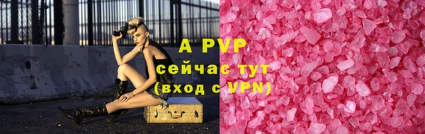 ПСИЛОЦИБИНОВЫЕ ГРИБЫ Белоозёрский