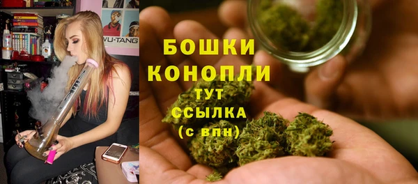 ПСИЛОЦИБИНОВЫЕ ГРИБЫ Белоозёрский
