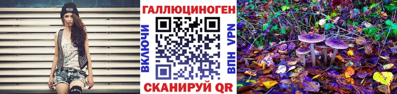 наркота  Верхний Тагил  Псилоцибиновые грибы Cubensis 